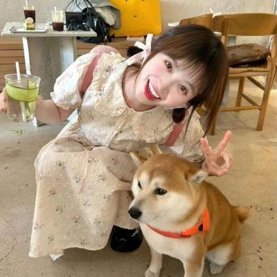 想爱就爱2.5