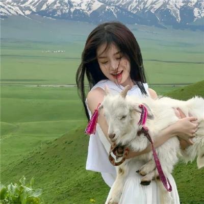 尽管去爱