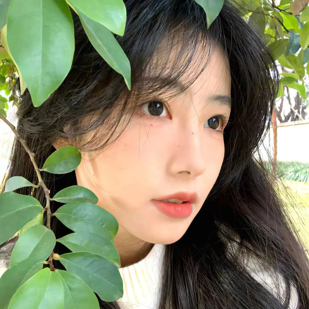 公正社会